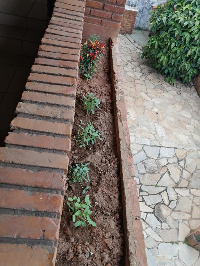 Florianópolis Coqueiros Hostel מראה חיצוני תמונה